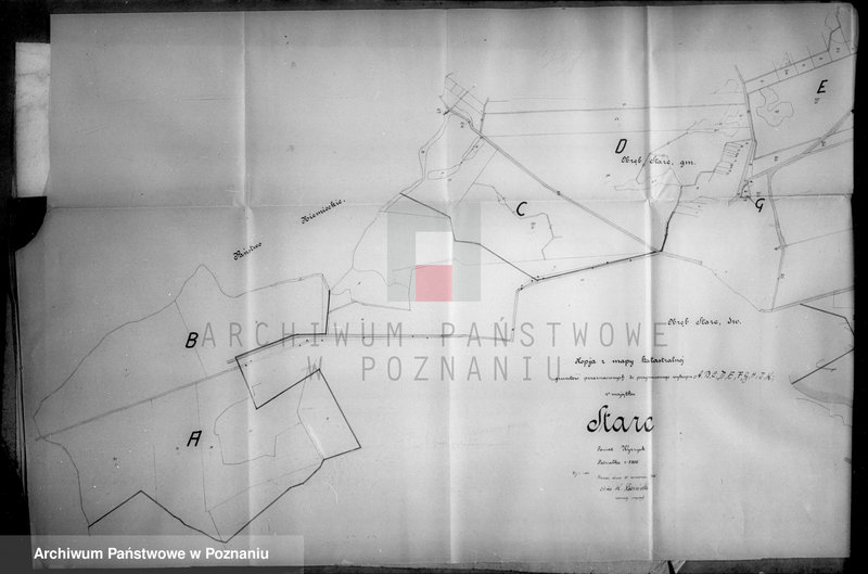 Obraz 10 z jednostki "Zestawienie parcel katastralnych majątku Stare powiatu wyrzyskiego"