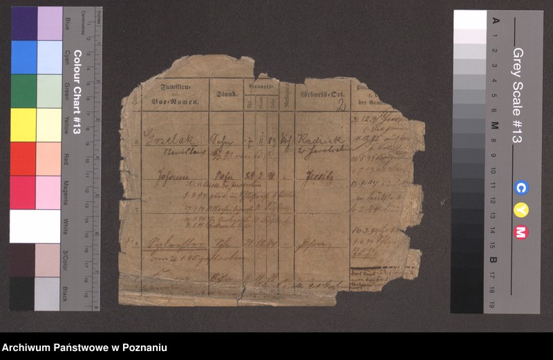 Obraz 3 z jednostki "Grzelak - Grzeszkowiak"