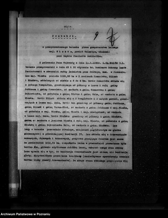 Obraz 13 z jednostki "Majętność leśna Wioska powiat wolsztyński"