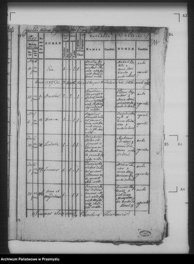 Obraz 15 z jednostki "[Kopie ksiąg metrykalnych parafii Żużel (dekanat Bełz)]"