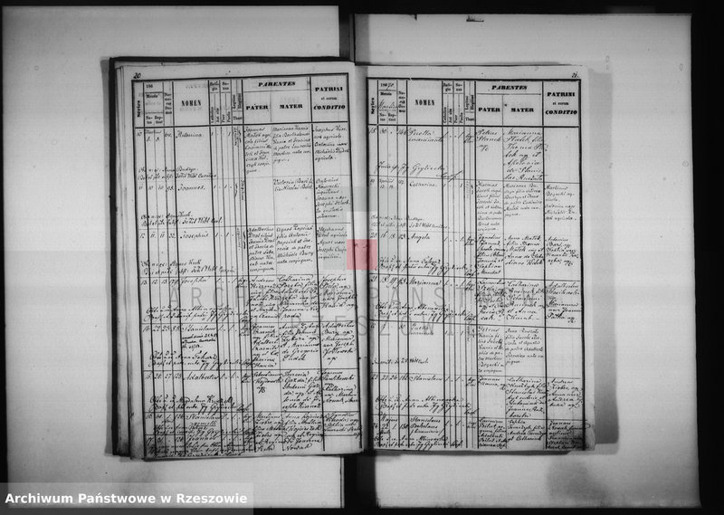 image.from.unit.number "Księga urodzeń - Przedmieście Czudeckie"
