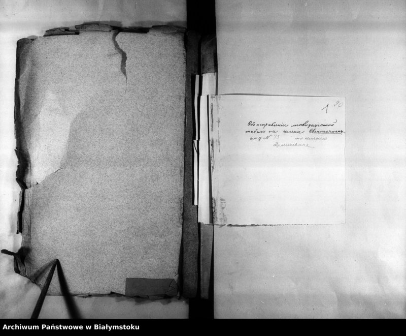 image.from.unit "Delo…Po selenîju Sventojansk gminy Volloviĉevce Avgustovskago uezda, b. ĉastnoe im. Vasileviĉe"