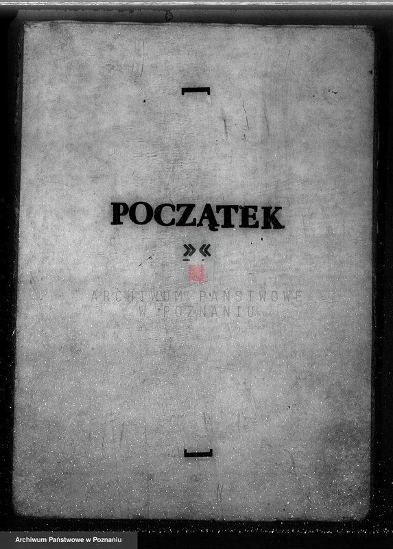 Obraz 3 z jednostki "Ustalenie powierzchni leśnej majątku Wilczyno-Podole powiat słupecki oraz nieprawne wyręby lasu"
