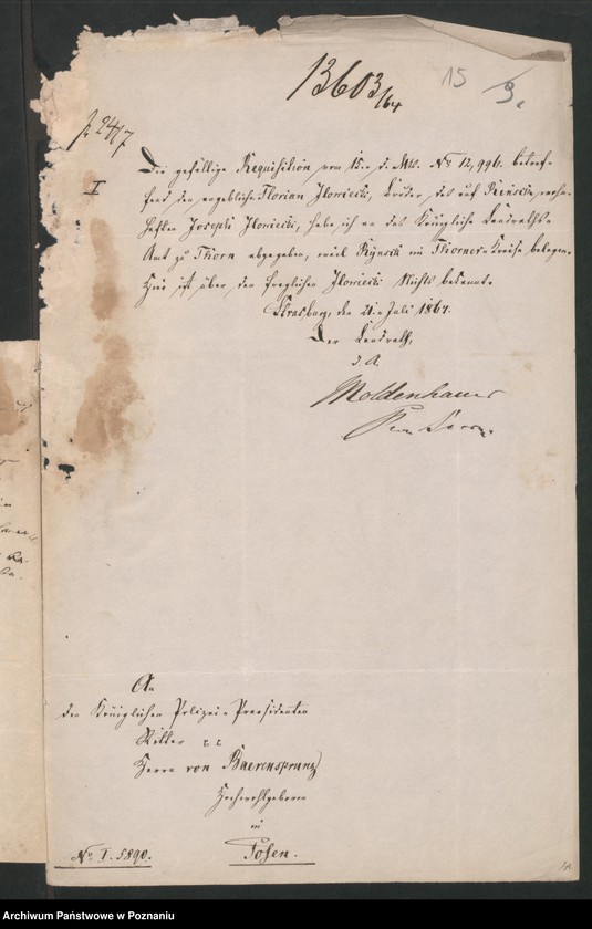 Obraz 18 z jednostki "A. betr. Gutspächter Iłowiecki in Rynsk, Kreis Thorn und andere des Namens"