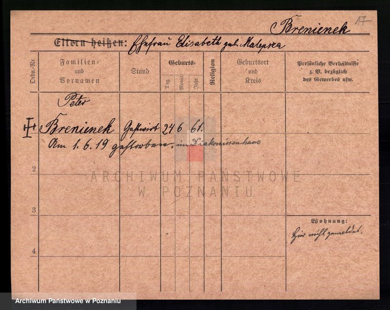 Obraz 20 z jednostki "Brengel - Bręczarska"