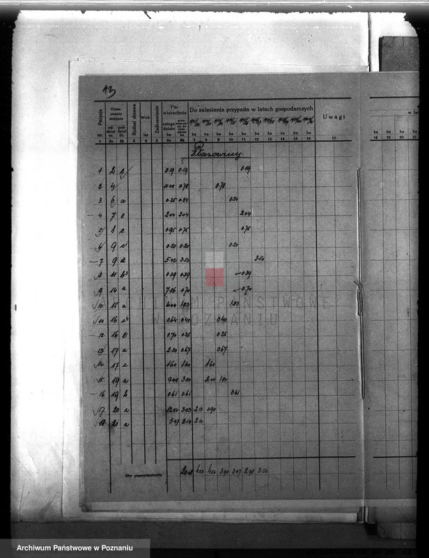 Obraz 17 z jednostki "Plan urządzenia gospodarstwa leśnego dla lasu majętności Śródka w powiecie międzychodzkim 1930-1940"