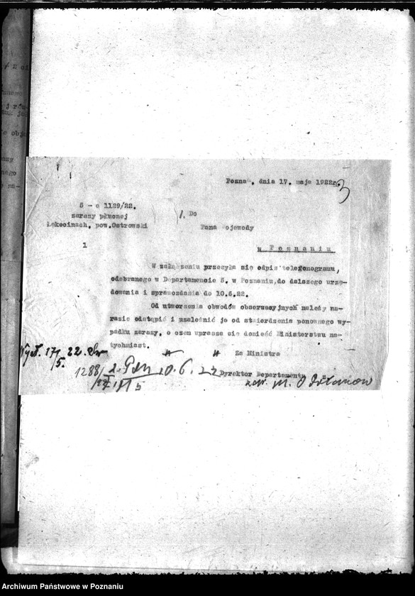 Obraz 7 z jednostki "Zaraza płucna - Odolanów"