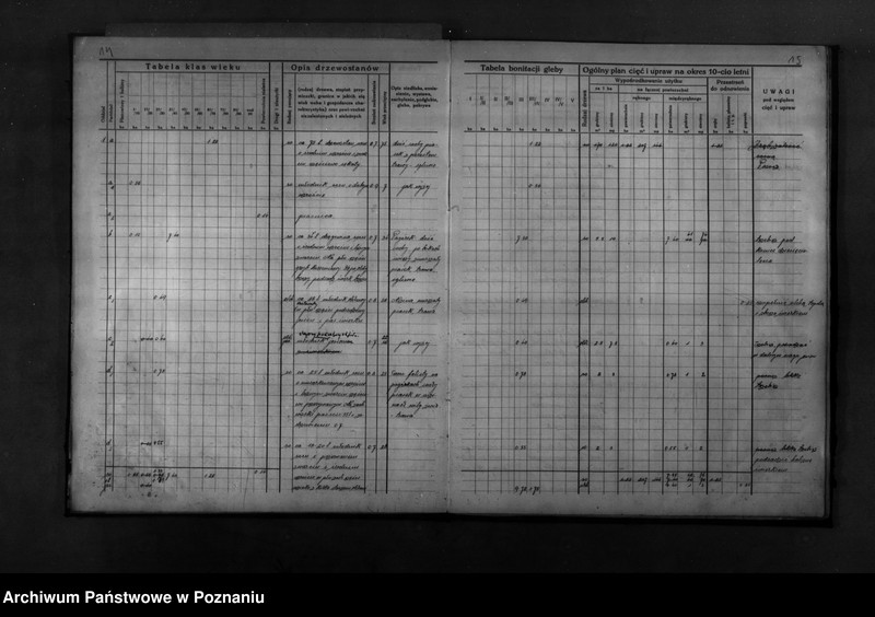 Obraz 18 z jednostki "Program urządzenia gospodarstwa leśnego dla lasu majętności Wronczyn-Pomarzanowice powiat poznański 1936-1946"
