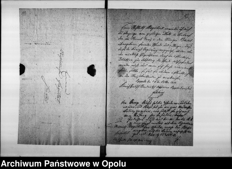 Obraz 14 z jednostki "Acta betreffend die Ausmittelung der fremden Pferde und etwaniges Fuhrwerk was durchs Militair da und dort requirirt, und auf diese Art vom Eigenthümern abhanden gekommen Vol. I de anno 1813"
