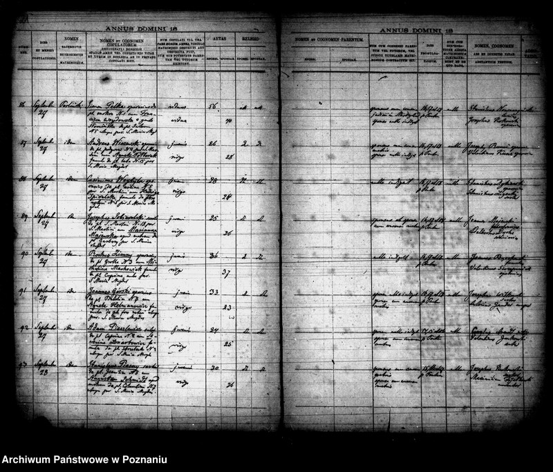 Obraz 12 z jednostki "Księga małżeństw"