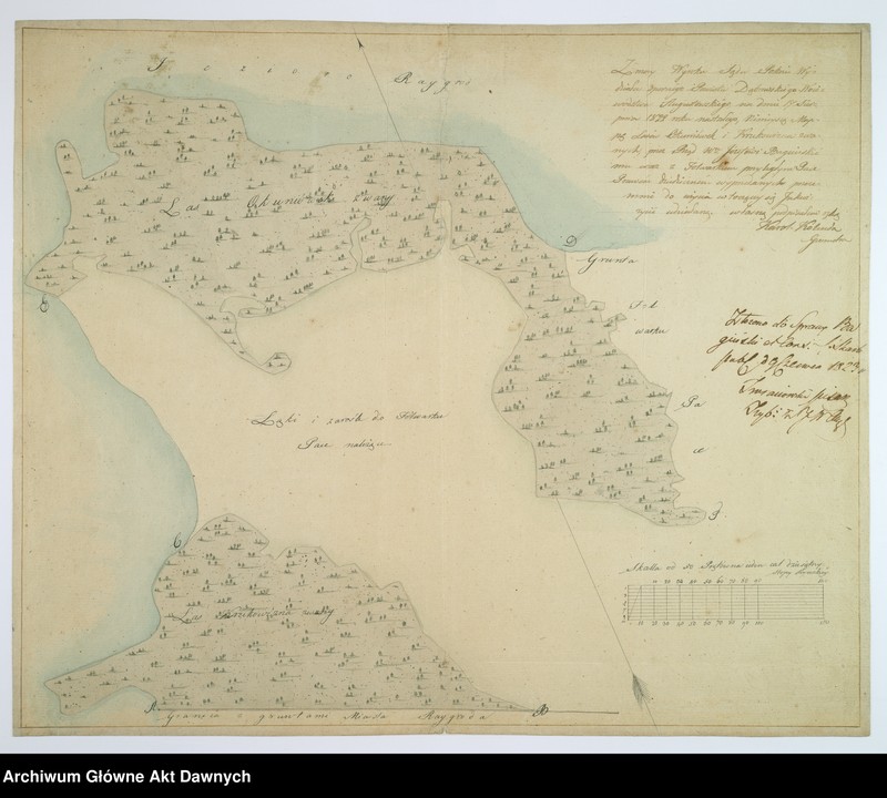 image.from.unit.number "Plan folwarku i lasów dóbr Pace w powiecie szczuczyńskim"