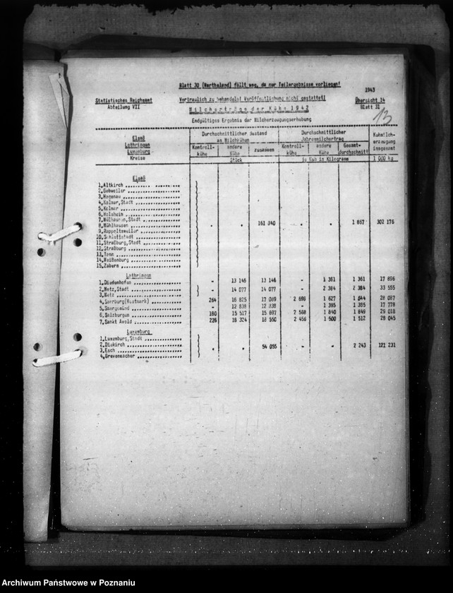 Obraz 17 z jednostki "Elsass - Lothringen"