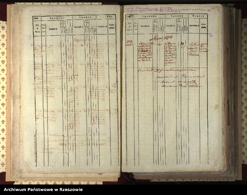 Obraz 16 z jednostki "Księga urodzeń, małżeństw i zgonów dla miejscowości Świątkowa Wielka, Świątkowa Mała (Świątkówka), Świerzowa (Świerzowa Ruska)"