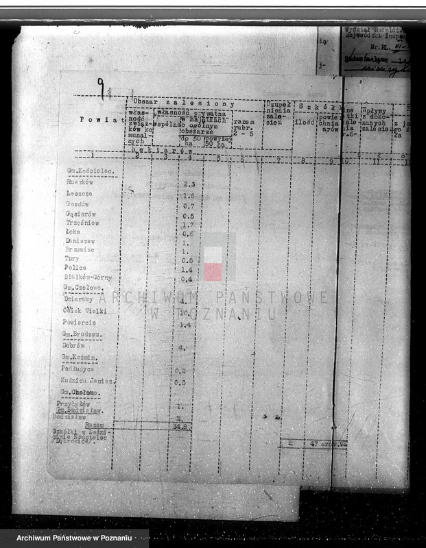 Obraz 14 z jednostki "Zalesienie nieużytków w powiecie kolskim"