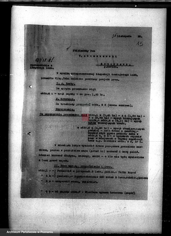 Obraz 19 z jednostki "Nadzór nad gospodarką w lasach Konarzewa powiatu rawickiego"