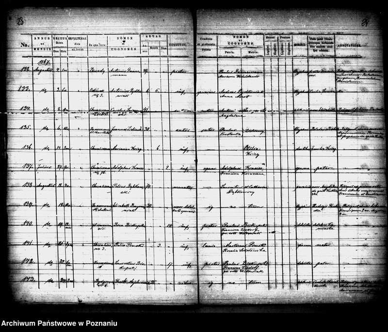 Obraz 13 z jednostki "Księga zgonów"