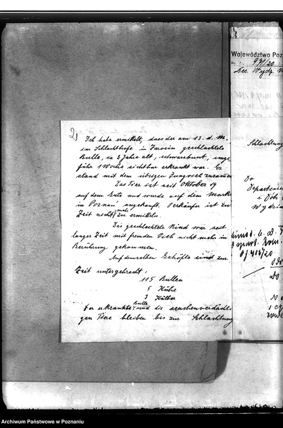 Obraz 6 z jednostki "Zaraza płucna - Jarocin"