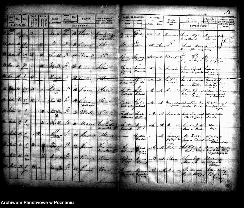 Obraz 8 z jednostki "Księga urodzin"