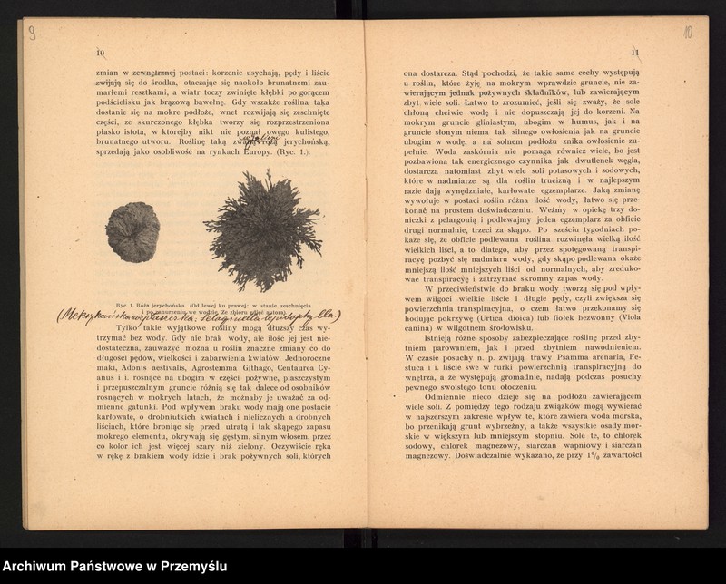 image.from.unit.number "V Sprawozdanie Dyrekcji Prywatnego Gimnazjum im. Juliusza Słowackiego w Czortkowie i Zarządu Towarzystwa Szkoły Średniej utrzymującego Gimnazjum za rok szkolny 1913/14"