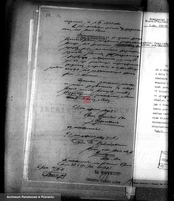 Obraz 16 z jednostki "Nadzór nad gospodarką leśną w lasach majętności Stajkowo powiecie czarnkowskim"