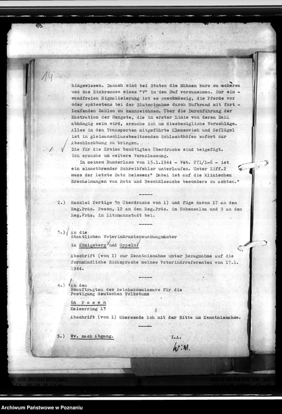 Obraz 18 z jednostki "Einfuhr von Tieren aus den besetzten Ostgebieten - auch der Schwarzmeerdeutschen"