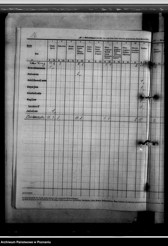 Obraz 20 z jednostki "Nachweisungen von übertragbaren Krankheiten"
