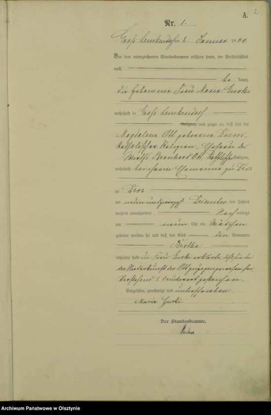 image.from.unit.number "Geburts-Haupt-Register Nr 1 - 113"