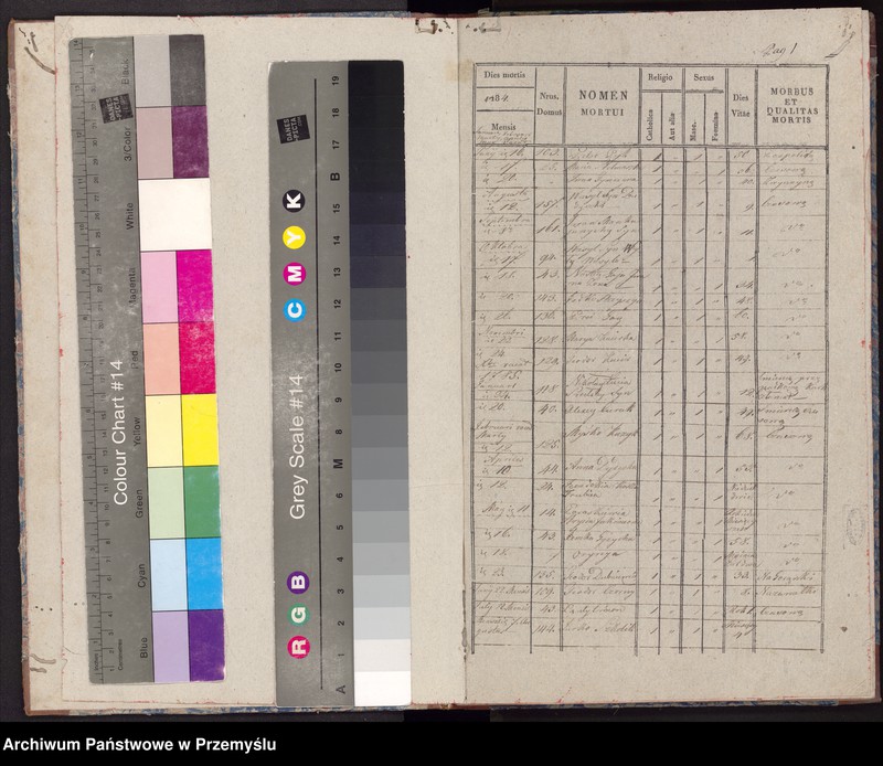 image.from.unit.number "Extractus libri metrices mortuorum in pago Radruż decanatu Lubaczoviensis incipiendo a die 16 Junij 1784 usque ad ultimam Decembris 1840 inclusive"