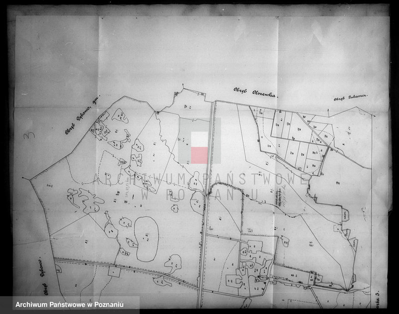 Obraz 7 z jednostki "Przejęcie gruntów za niektóre należności pieniężne z majątku Samostrzel powiatu wyrzyskiego"