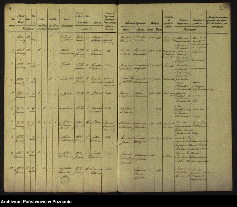 Obraz 4 z jednostki "Księga urodzin"