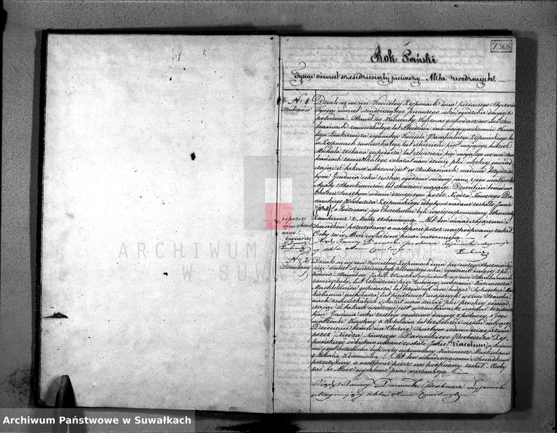 Obraz 3 z jednostki "D. Ł. Par. Leypuny 1861"