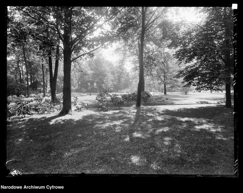 Obraz z jednostki "Park pałacowy w Zielinie"