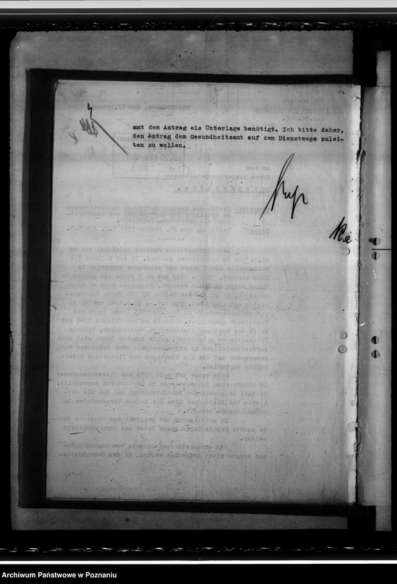 Obraz 9 z jednostki "Polnische Apotheken"