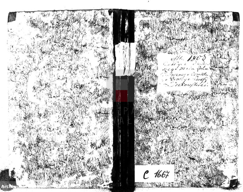 Obraz 2 z jednostki "Akta Umarłych od pierwszego Maia Roku Tysiącznego Osimsetnego Osmego Parafij Liszkowskiey"