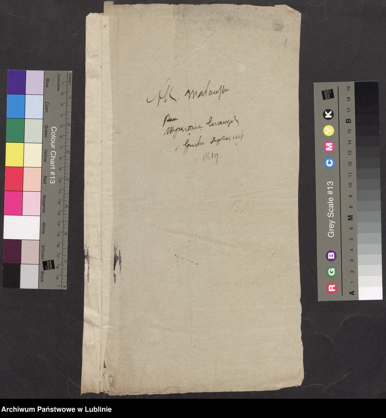 Obraz z jednostki "Alegaty do księgi urodzeń, zapowiedzi, małżeństw i zgonów z 1819 r."