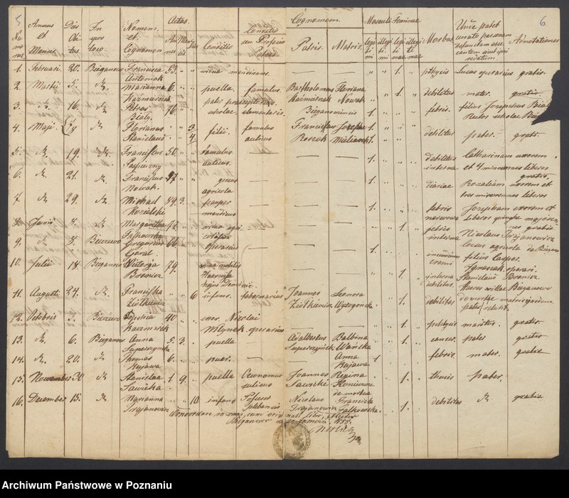 Obraz 5 z jednostki "Duplikat Libri Baptisatorum, Copulatorum et Mortuorum."