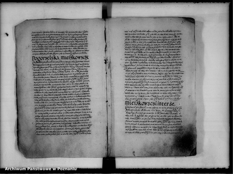 Obraz 8 z jednostki "Inscriptiones, relationes [inducta]"