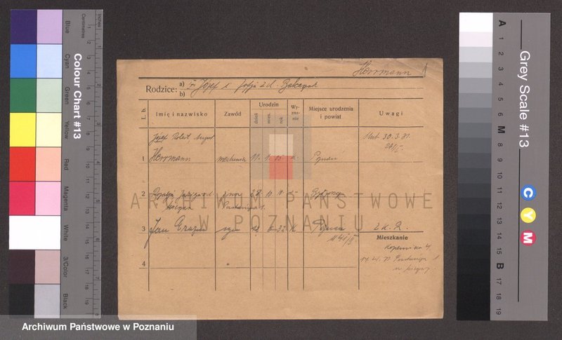 Obraz 1 z jednostki "Herman - Hermyła"
