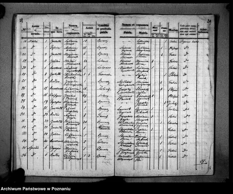 image.from.unit.number "Duplikaty urodzeń, małżeństw i zmarłych"