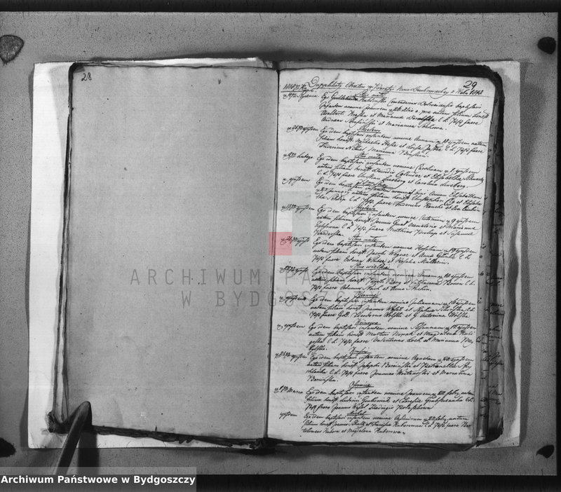 image.from.team "Akta metrykalne parafii rzymskokatolickiej w Dąbrówce Nowej, pow. Bydgoszcz"