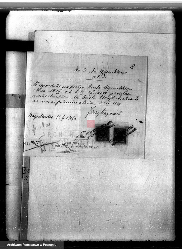 Obraz 12 z jednostki "Sprawa wyłączenia obszarów leśnych z majątku Bogusławice powiatu kolskiego"