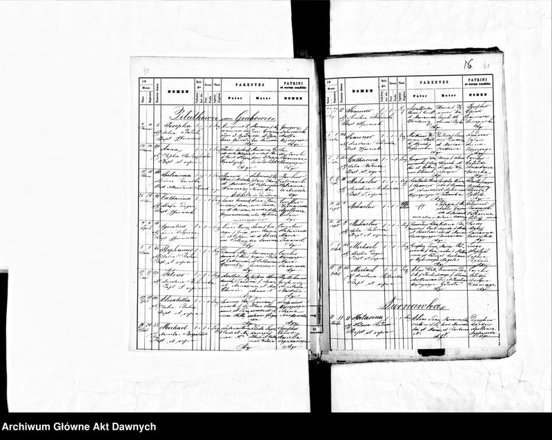 image.from.unit.number "Parafia: Jezierzany*. Dekanat: Borszczów. Księga metrykalna urodzeń dla miasta Jezierzany i wsi: Jezierzanka, Konstancja, Dawidkowce, Kapuścińce, Kolędziany, Piłatkowce, Grabowiec, Tarnawka, Zalesie, Zwiahel, Zielińce."