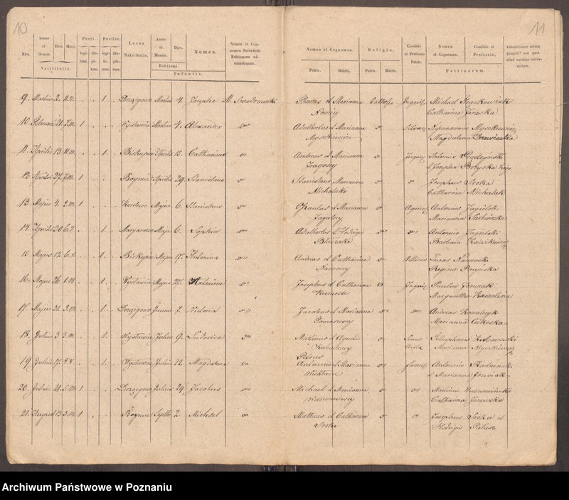 Obraz 8 z jednostki "Liber baptisatorum, copulatorum et mortuorum"