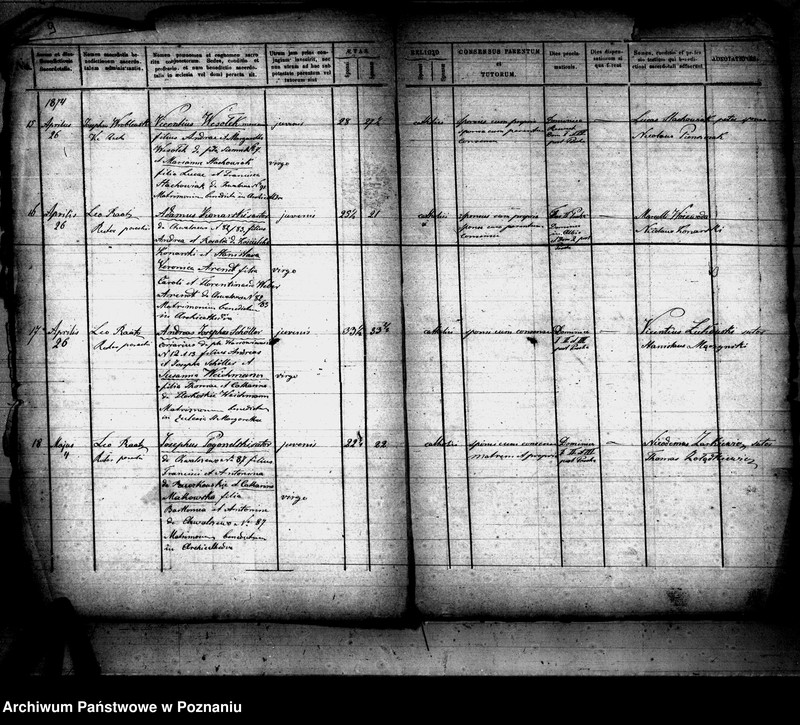 Obraz 6 z jednostki "Księga małżeństw"