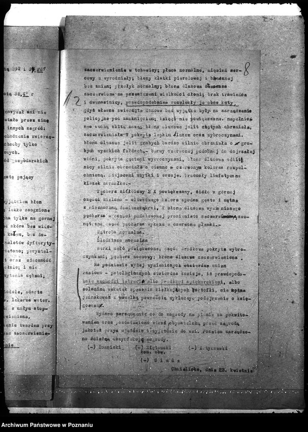 Obraz 12 z jednostki "Księgosusz - Nowy Tomyśl"