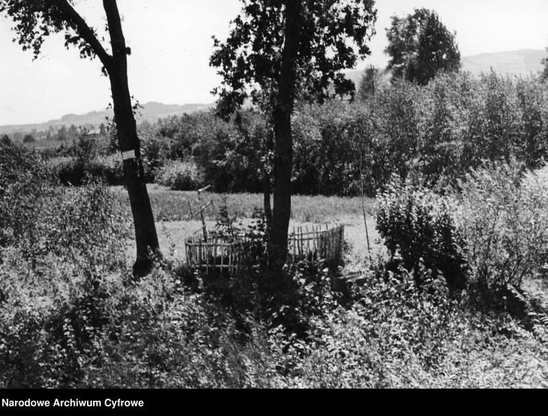 image.from.unit.number "Mogiła żołnierzy niemieckich koło miejscowości Lanckorona"