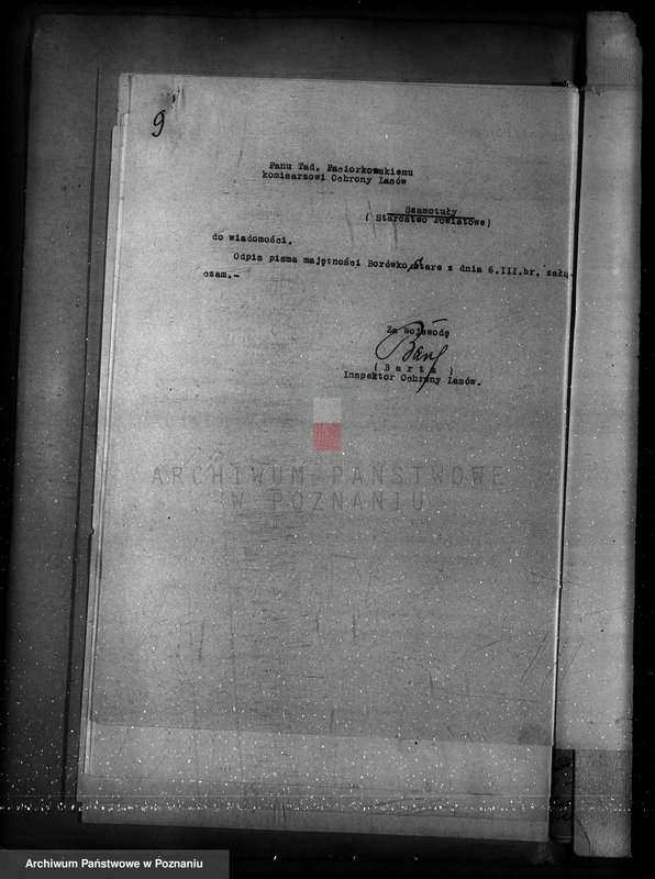 Obraz 13 z jednostki "Majętność Borówko Stare /nadzór nad gospodarką leśną/"