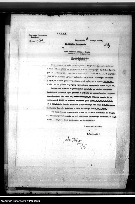 Obraz 17 z jednostki "Las majętności Gierczyce powiatu kępińskiego"