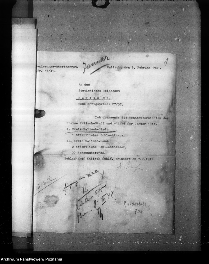 Obraz 5 z jednostki "Statistik über Fleischbeschau und Schlachtungen"