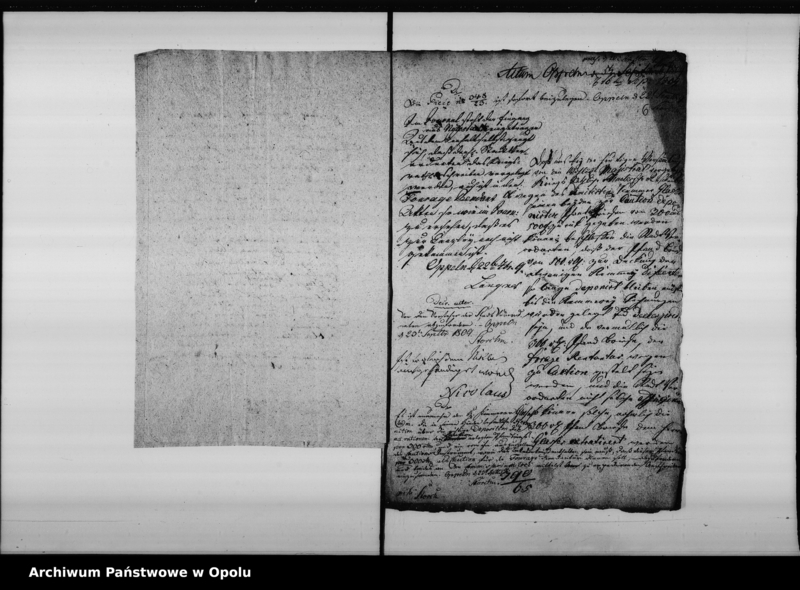 Obraz 10 z jednostki "Acta von Anstellung des fourage Magazin Rendanten zu Oppeln so wie dessen Cautions Leistung und Amtsführung betreffend. de anno 1809 bis um [1817]"